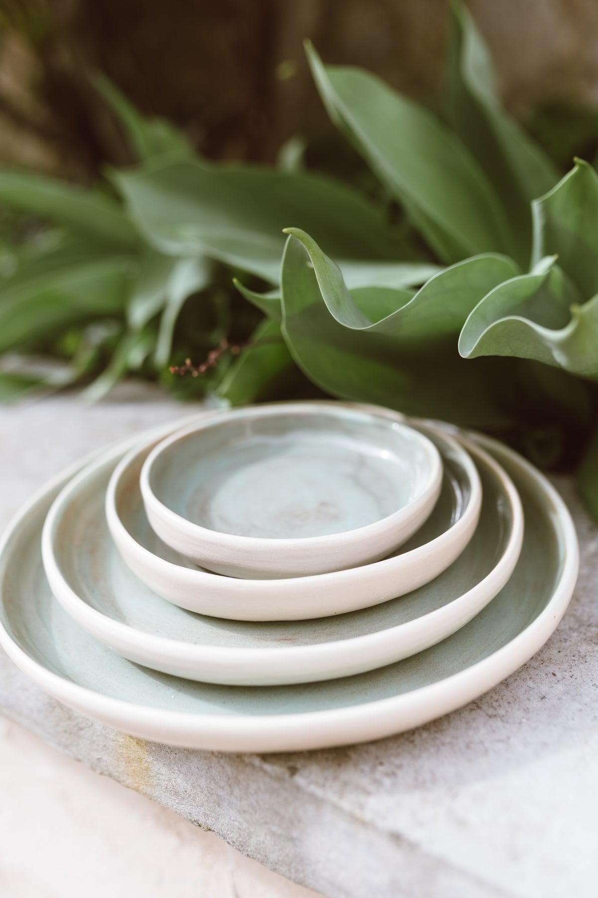 ASSIETTES DE TABLE