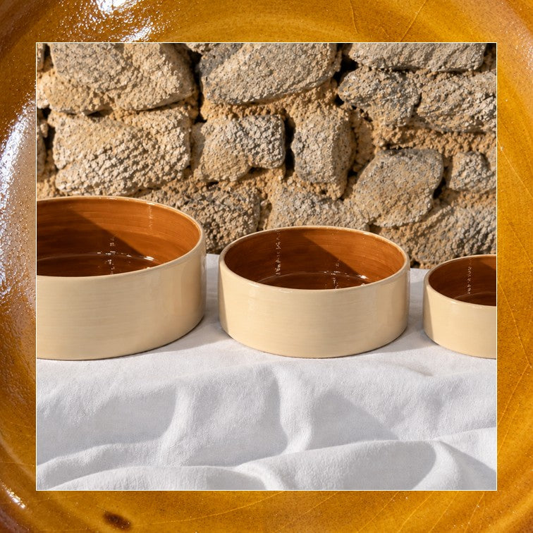 Saladier ORBEE Cognac